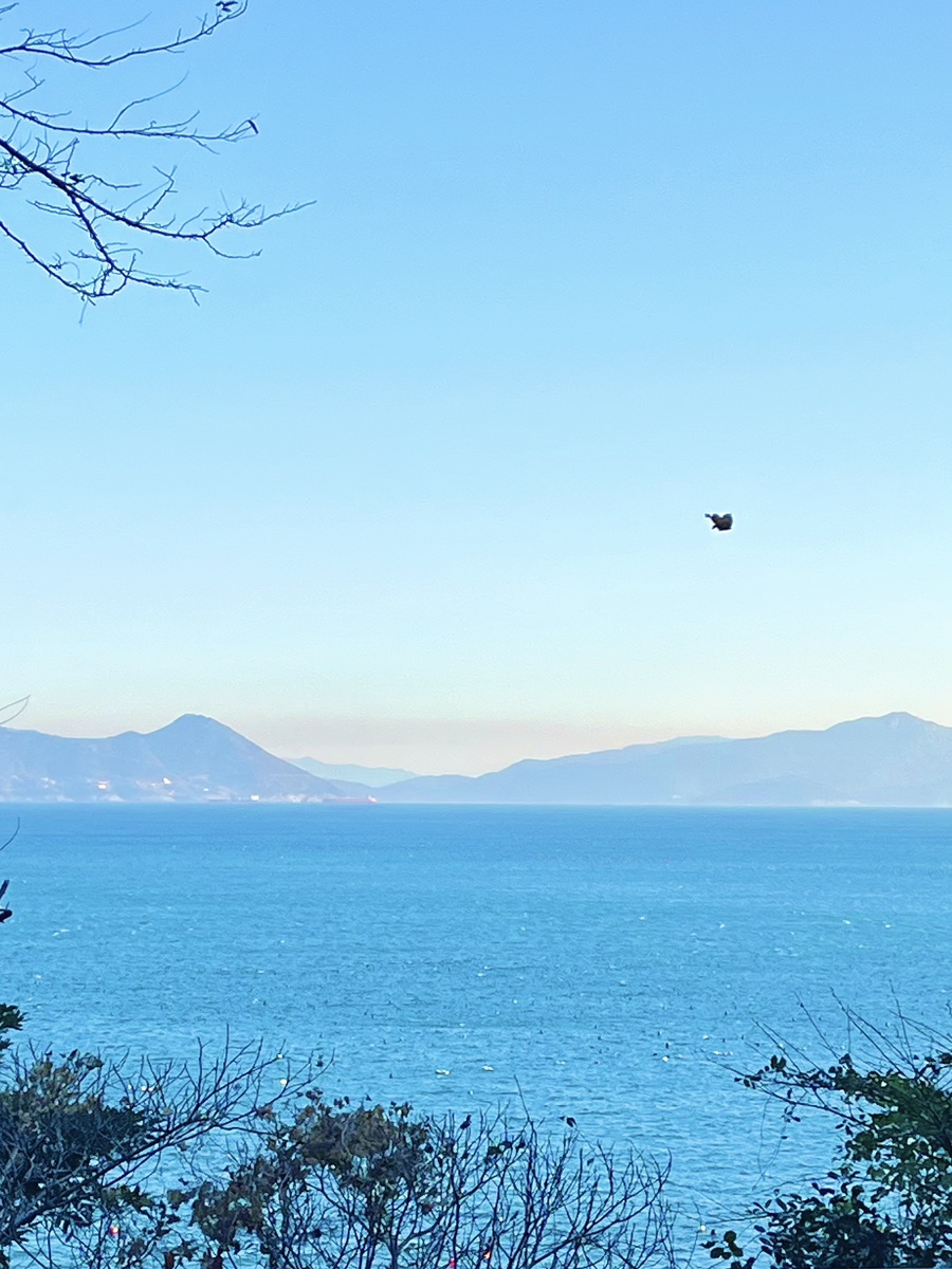 사진눌러 초여름 필수 플리 들으러가기🩵