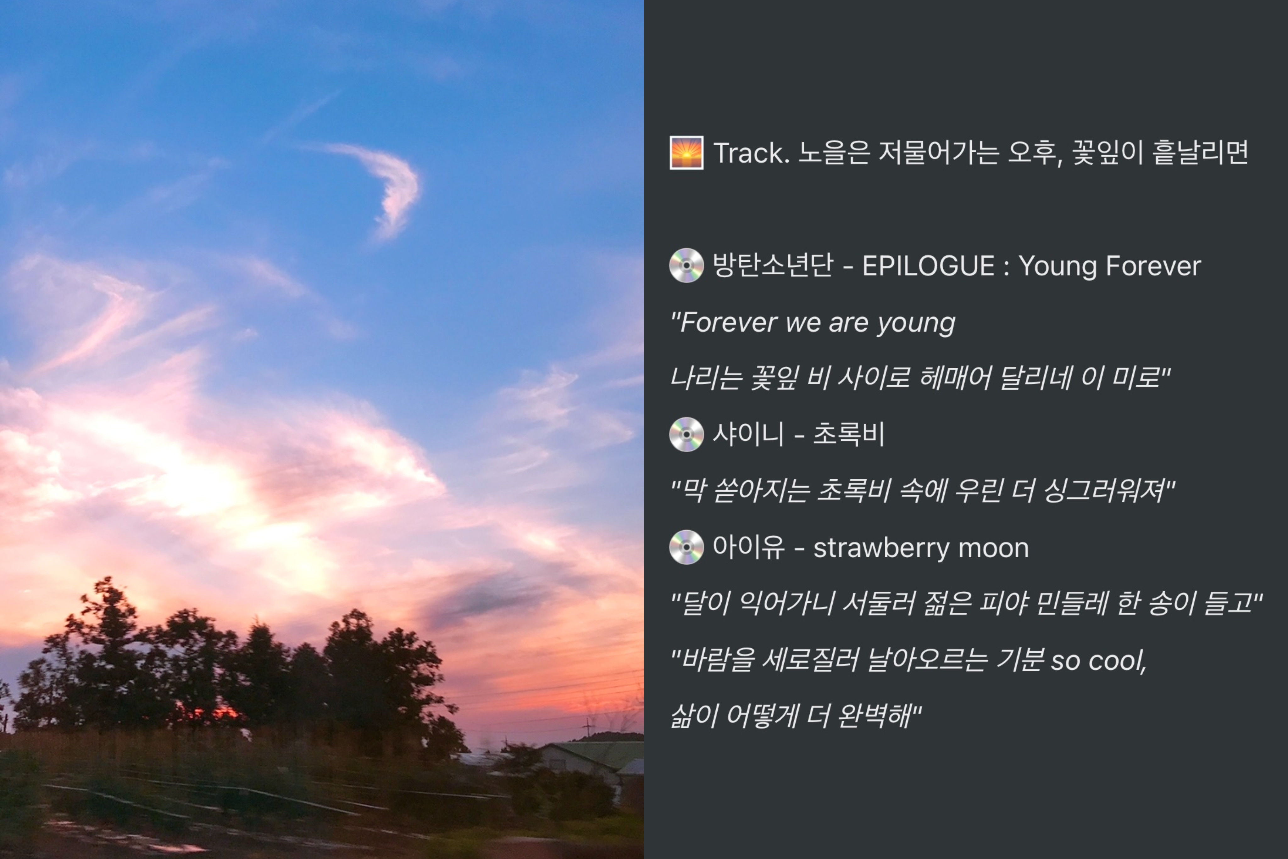 🌅 Track. 노을은 저물어가는 오후, 꽃잎이 흩날리면