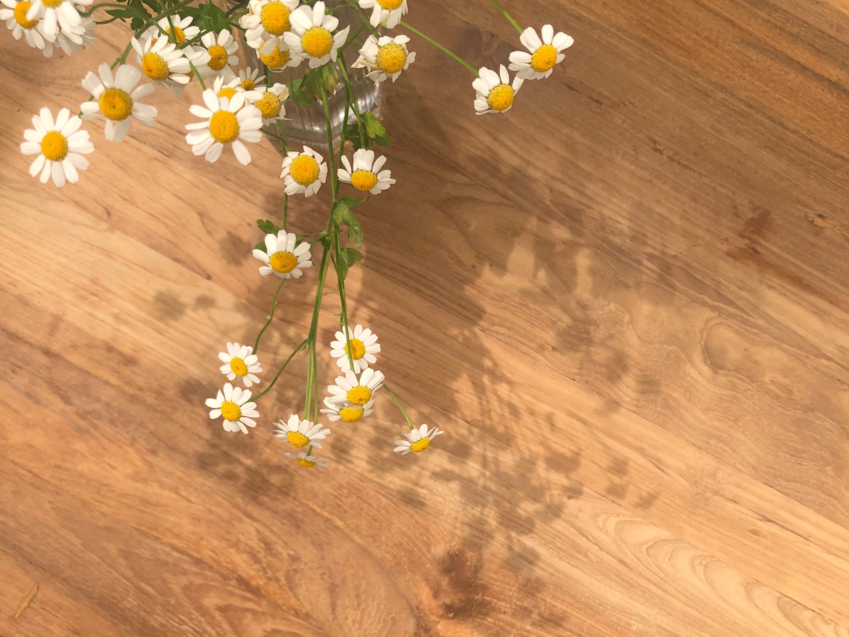 역경에 굴하지 않는 강인함