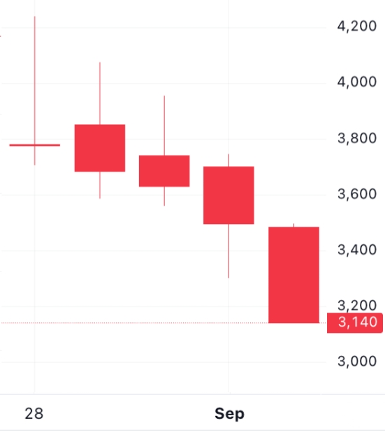 🐬[DOLFIN] 9월 4일 장전 체크리스트의 썸네일 이미지