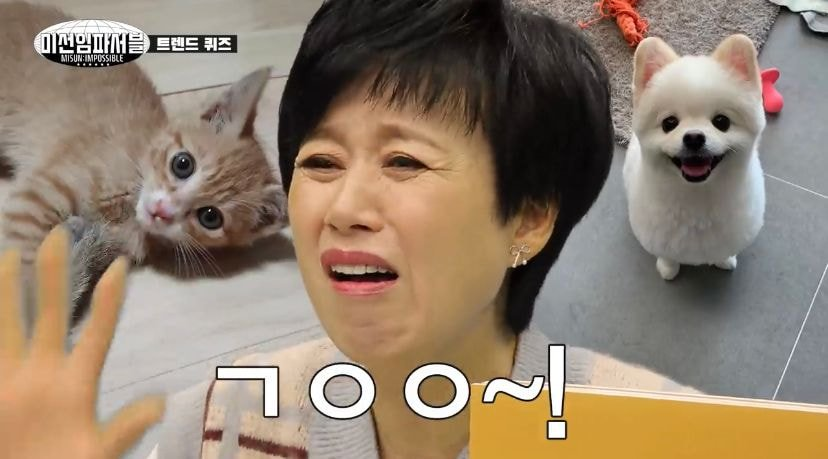 © https://youtu.be/UGBBVVr3f7k