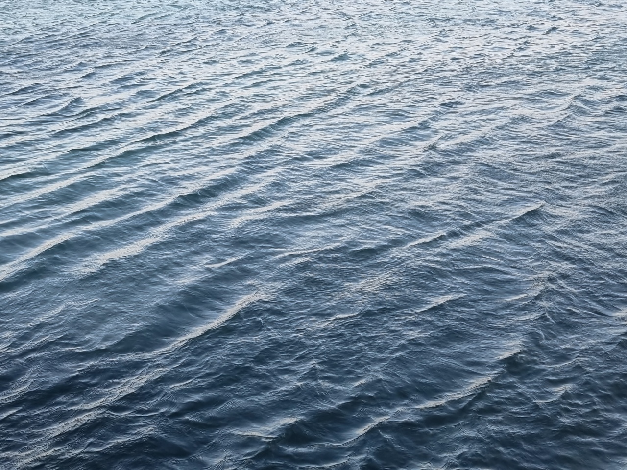 모이고 사라지고 흩어지고 흩뿌려지는