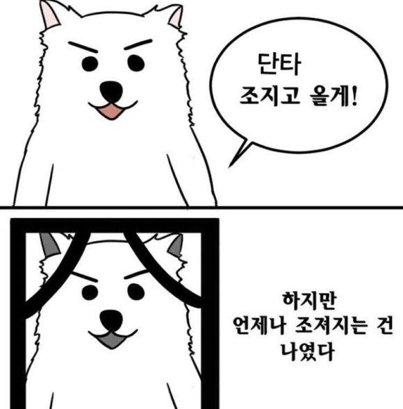 첨부 이미지