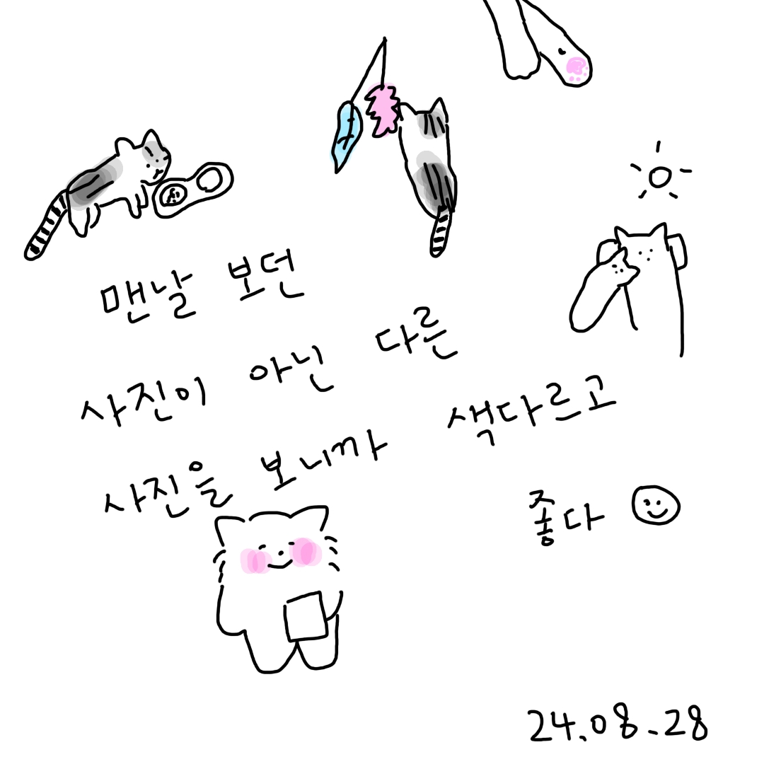 토린이 사진의 썸네일 이미지