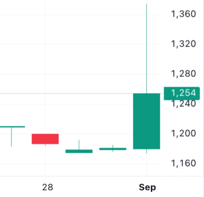 🐬[DOLFIN] 9월 3일 장전 체크리스트의 썸네일 이미지