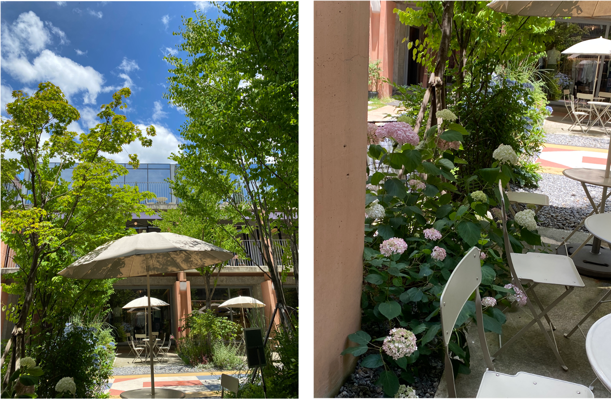 날씨 너무 좋죠...? 