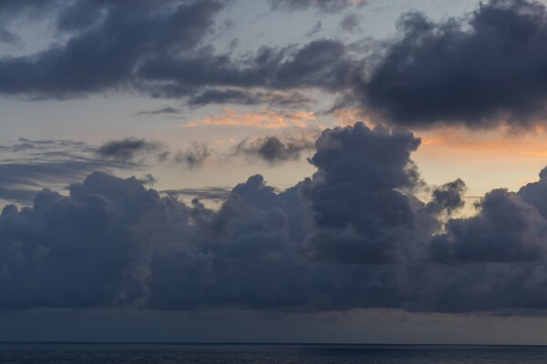 [사진: 셔터스톡]