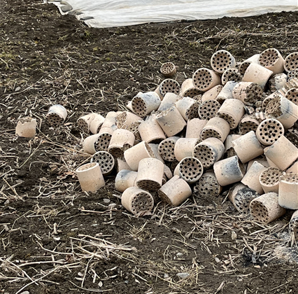 부여 여행 중 마주친 버려진 연탄들.조금 안쓰러워 보이기도 하고,기특하기도 하고.