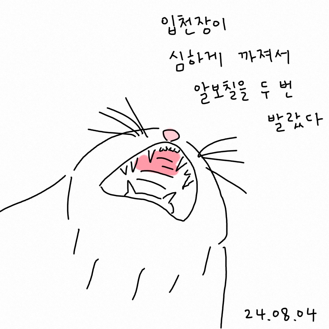 입천장이 까졌다의 썸네일 이미지