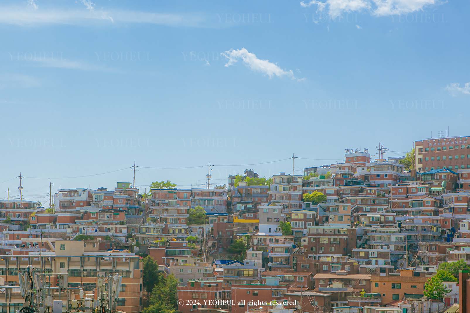 #2-1. 가라앉지 않는 파도