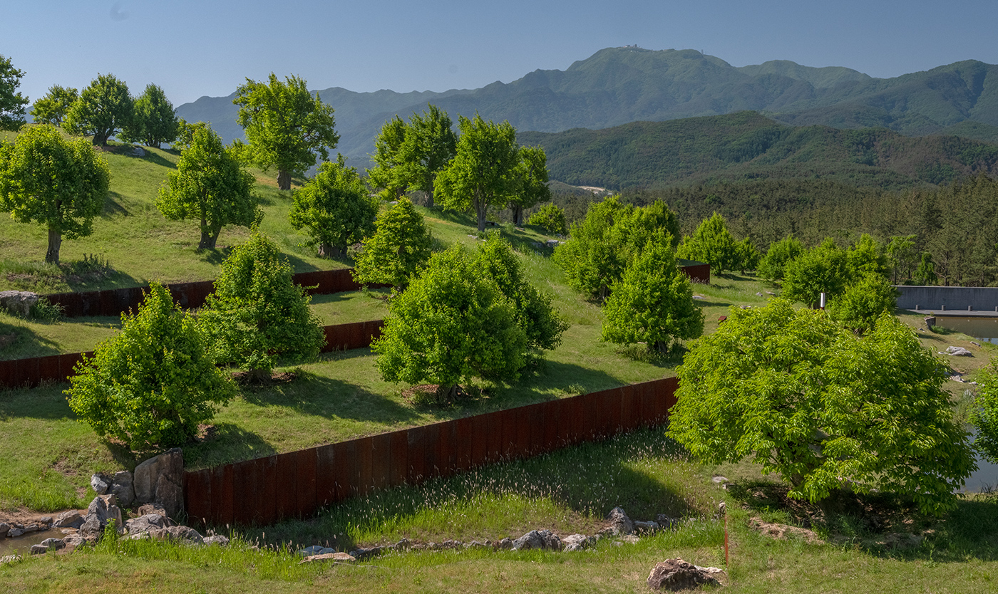108그루의 모과나무가 심어져 있는 사유원의 풍설기천년 @사유원 홈페이지