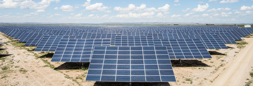 OCI가 만든 미국 텍사스주의 Pearl 태양광 발전소. 사진 OCI