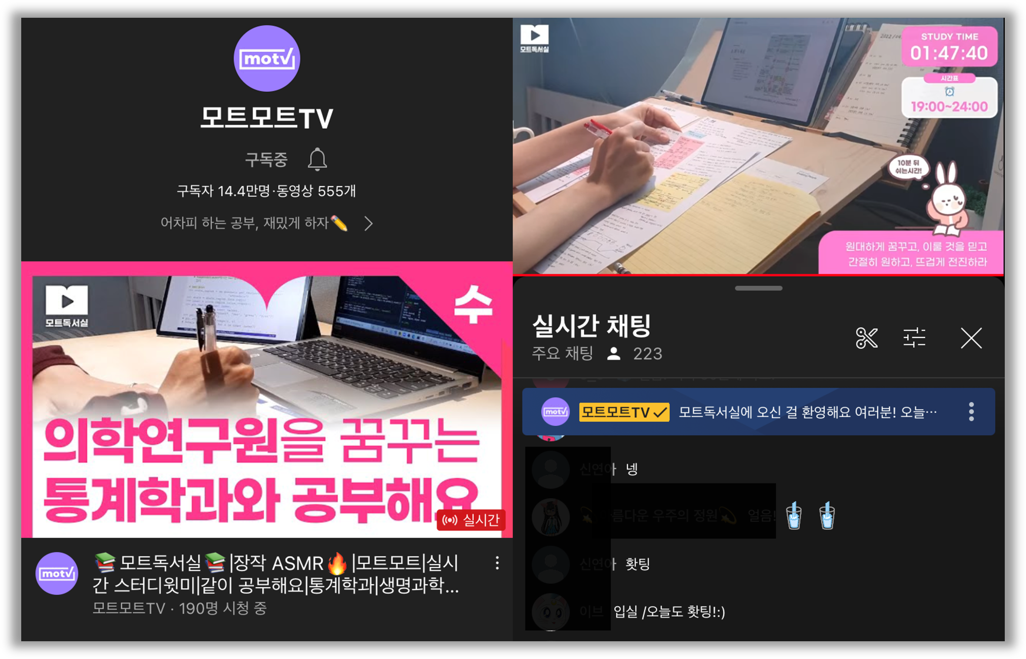 출처 : 모트모트 유튜브