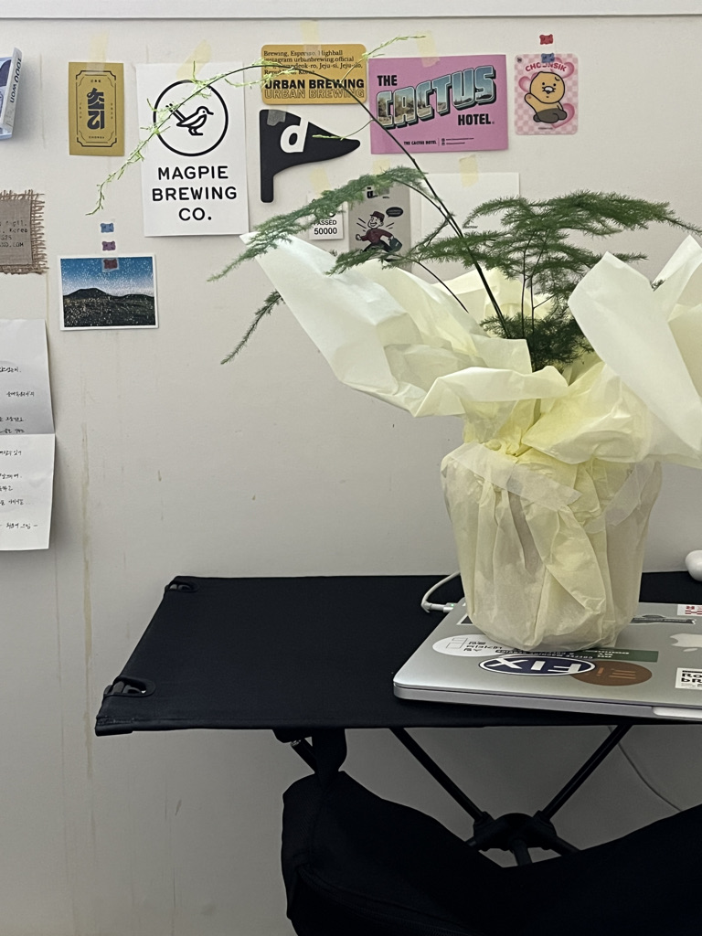 식물을 분양받고 방에 들여와 바로 찍은 사진이다.