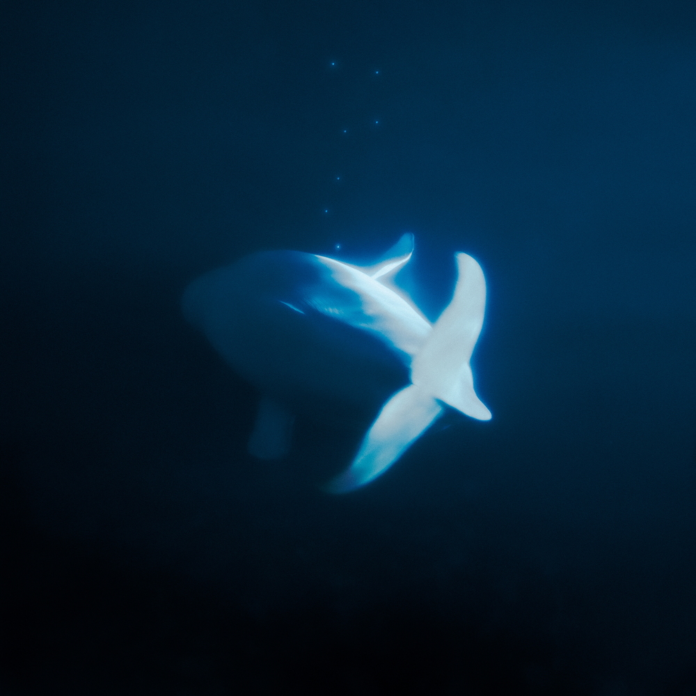 겸(GYEOM)_ 우리는 자주 표류하겠지만(EP 0713)