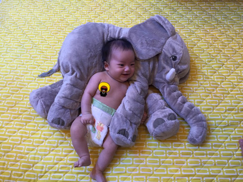 팡이의 애착인형 코아저씨. 현재 시각 새벽 2시에도 안고 있다