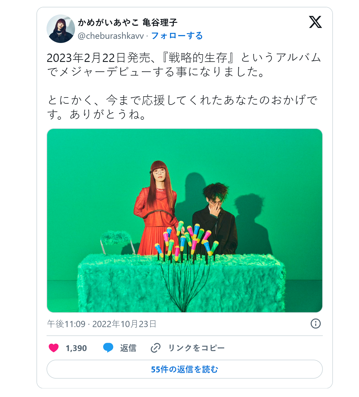 https://x.com/cheburashkavv/status/1584185195787587585