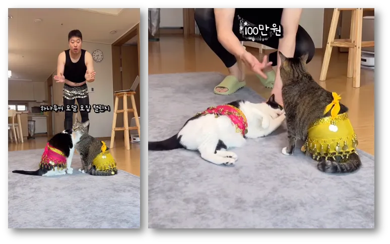 출처: 언더월드 인스타그램