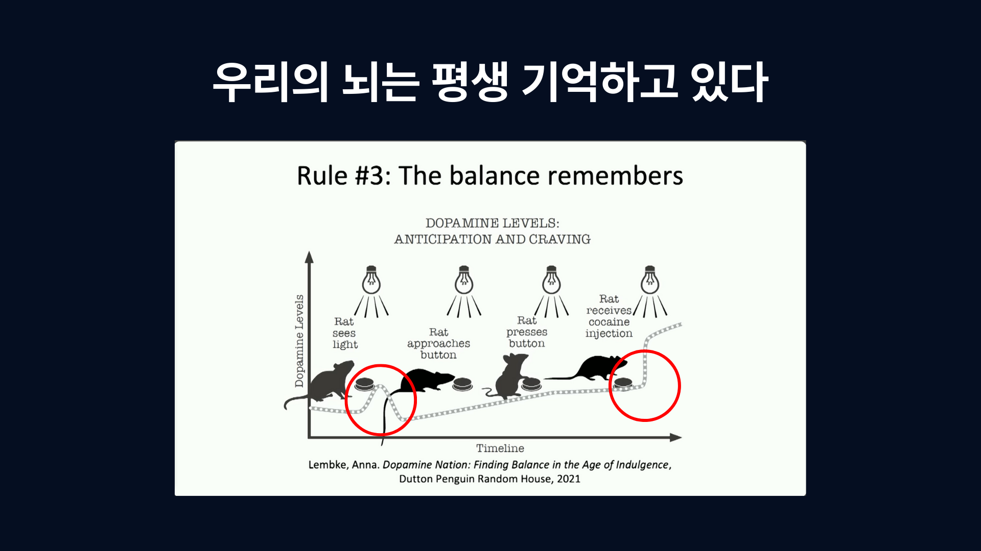 실험에서 쥐의 도파민 레벨 변화 1