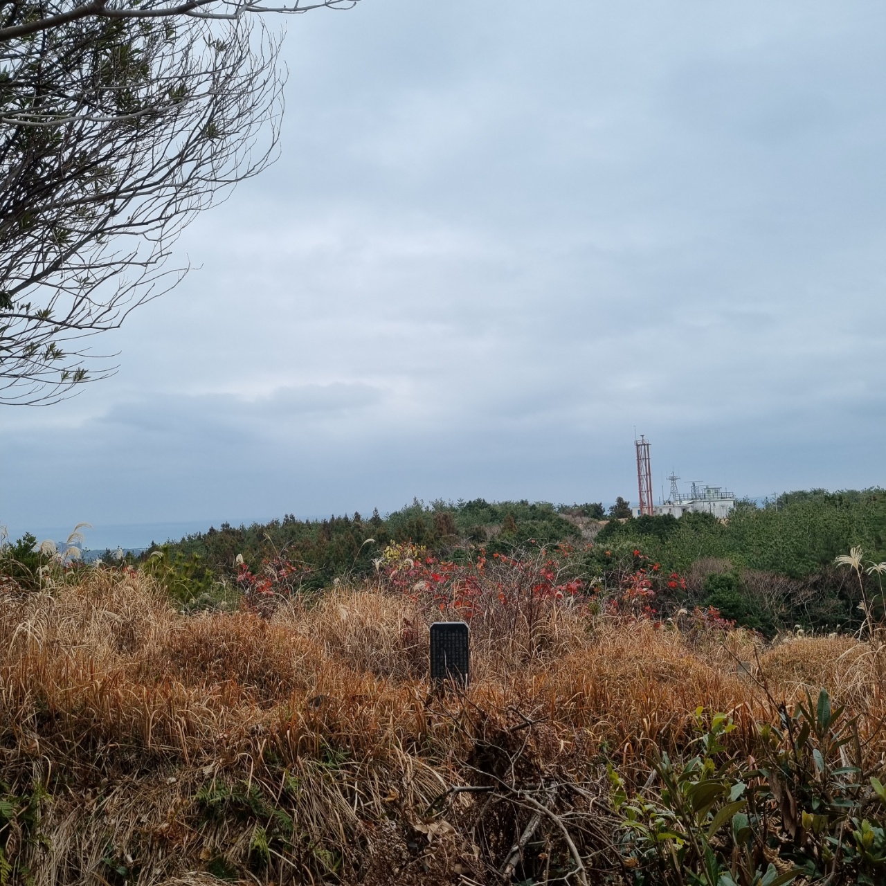 정상 거의 다 와갔을 때의 풍경