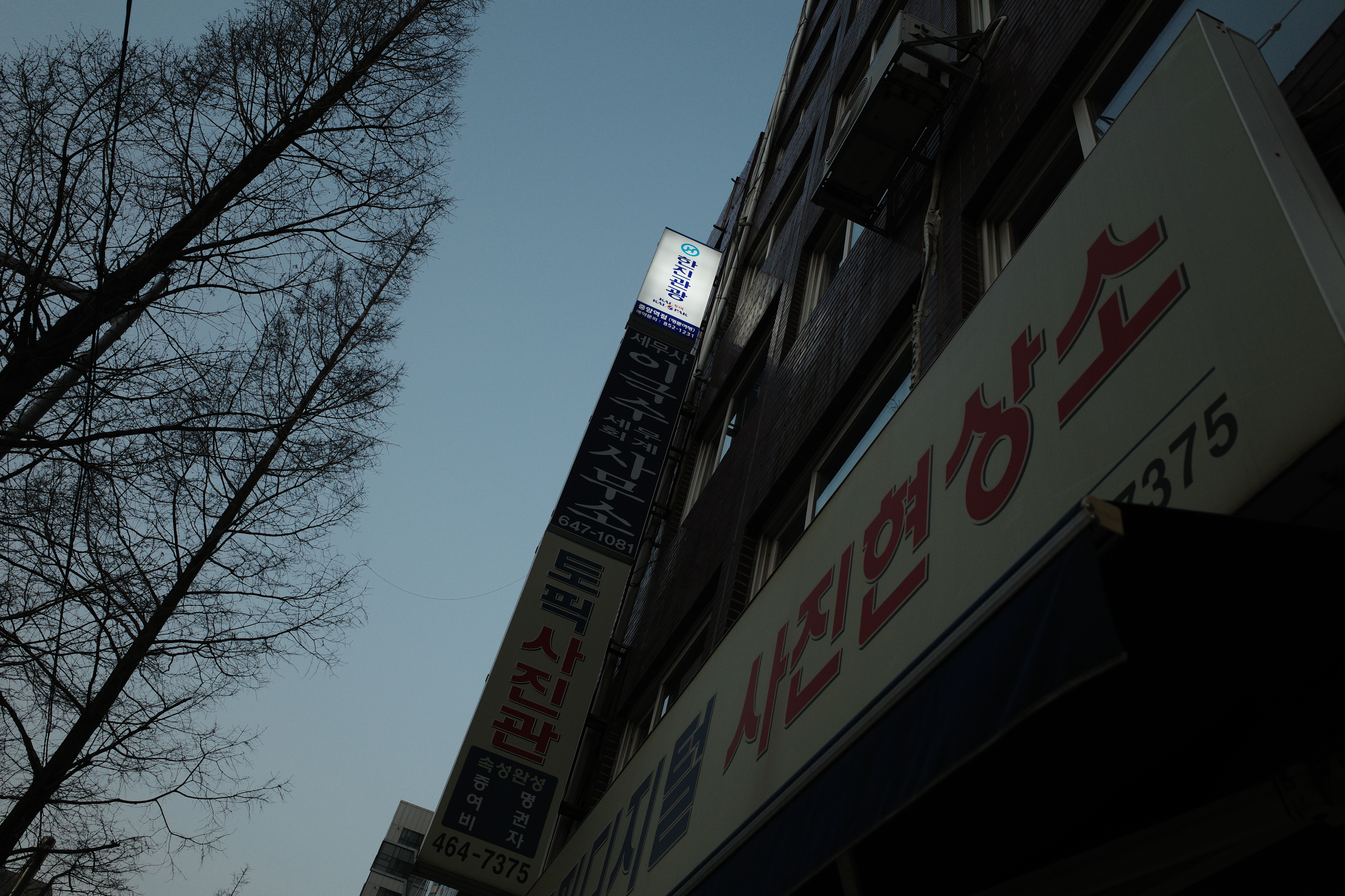 @ 중구 토픽칼라