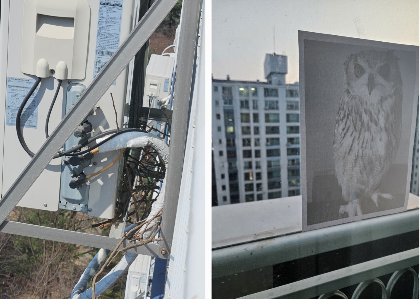 실외기 뒷편에 자리 잡았던 까치집의 비포 & 애프터. 재발 방지를 위해 천적이라는 부엉이 사진을 붙여 놓고,&nbsp;까치가 싫어한다는 나프탈렌도 부착했습니다. 만일의 상황에 참고하시길 바라며, 까치들의 안전한 봄을 기원해봅니다.&nbsp;