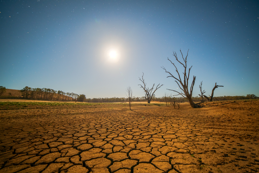폭염과 가뭄 발생 빈도가 2050년까지 현재보다 46%, 18% 증가할 것이란 전망! 셔터스톡
