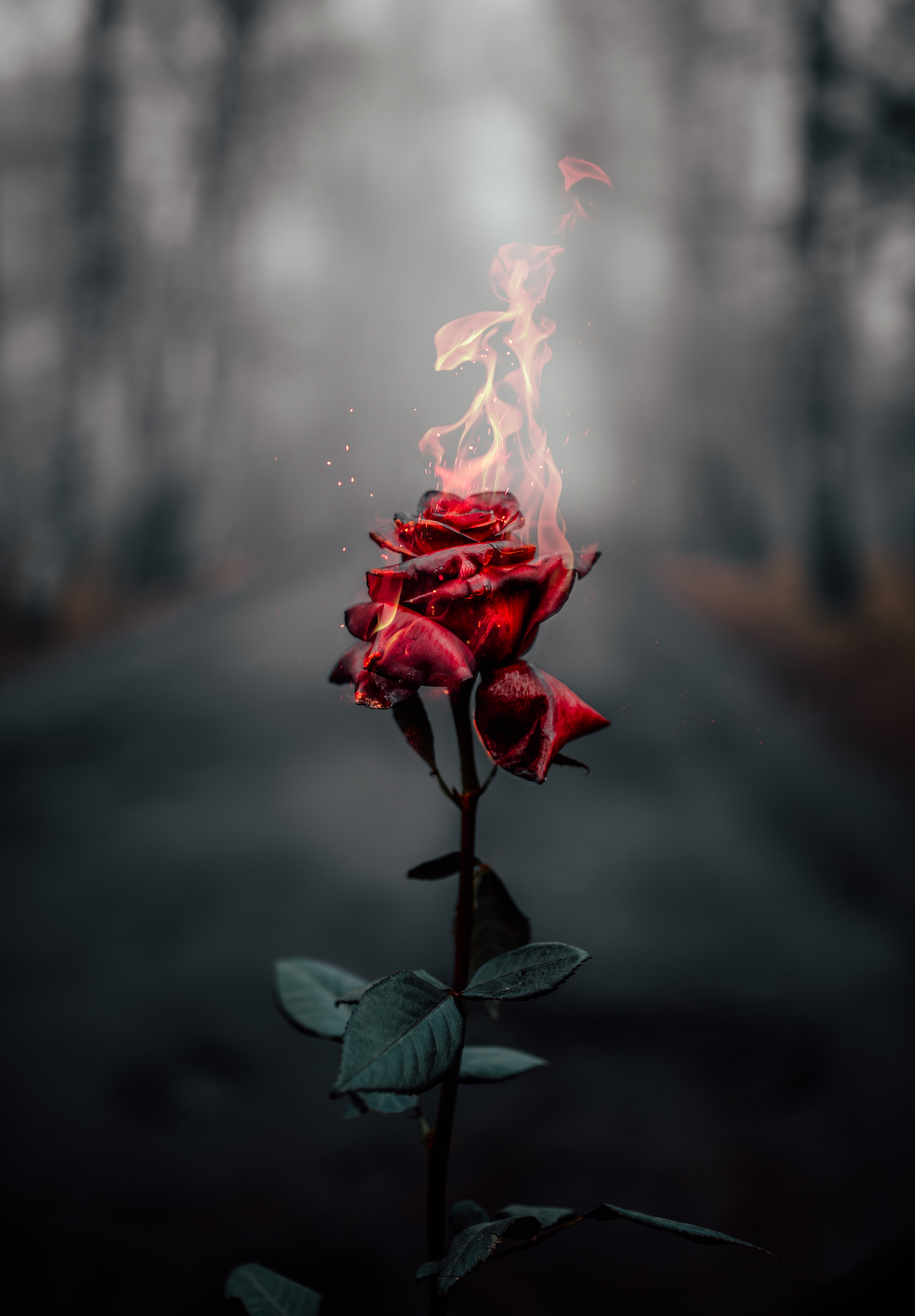 &nbsp; Photo by Vadim Sadovski on Unsplash