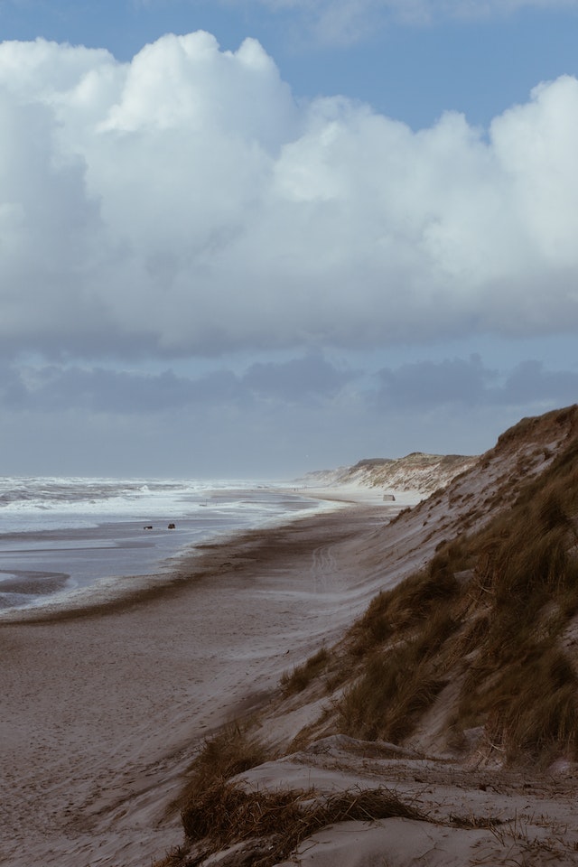 기를수록 좋은 능력치 하나 l 선후관계의 역전의 썸네일 이미지