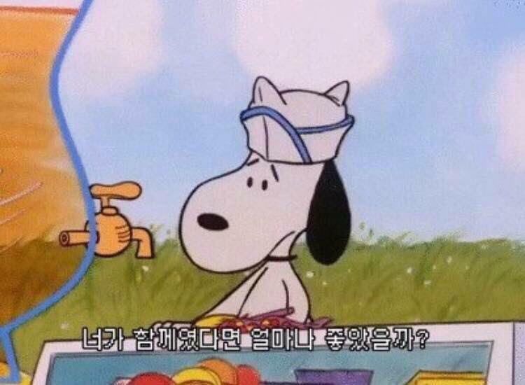 사랑을 통해 나를 배우다의 썸네일 이미지