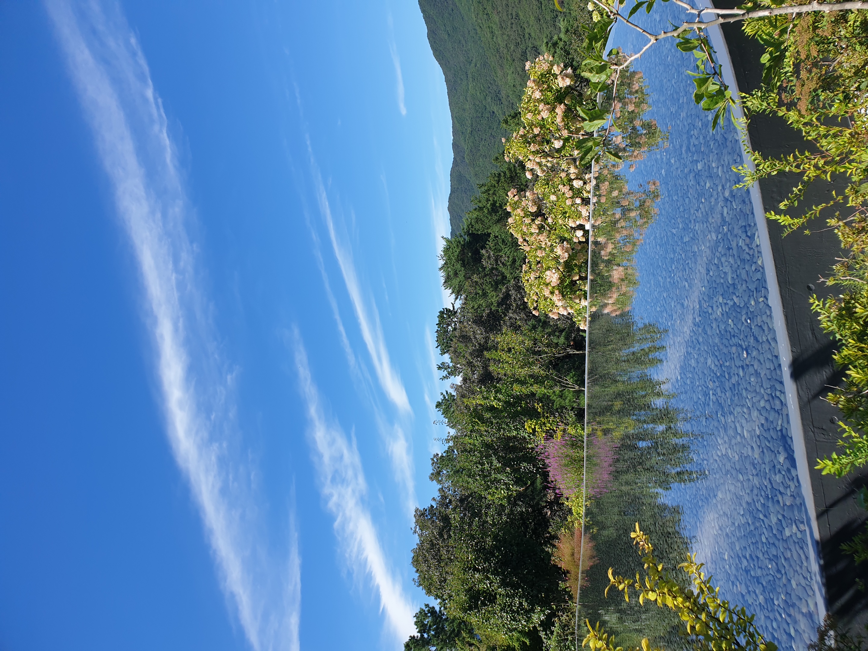 뮤지엄 산에 있는 카페 전경이에요. 물가에 가면 마냥 좋아서 이 장면을 오래 바라 보다 왔습니다.