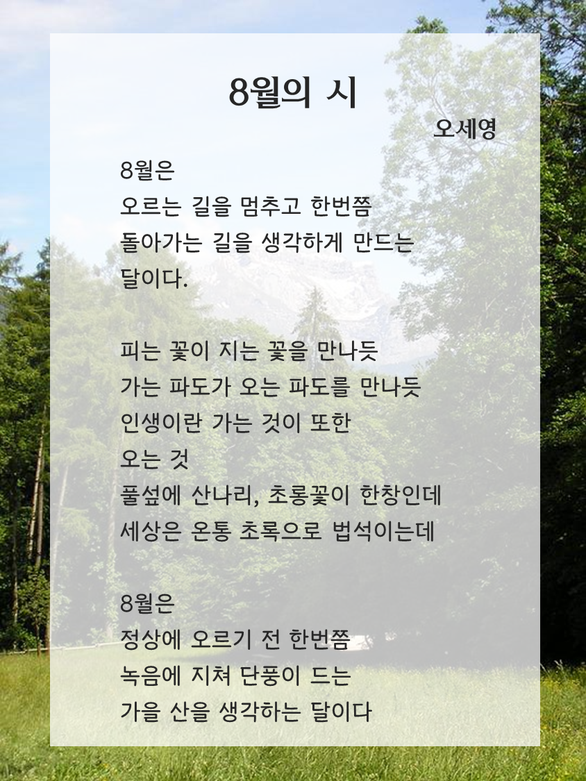 첨부 이미지