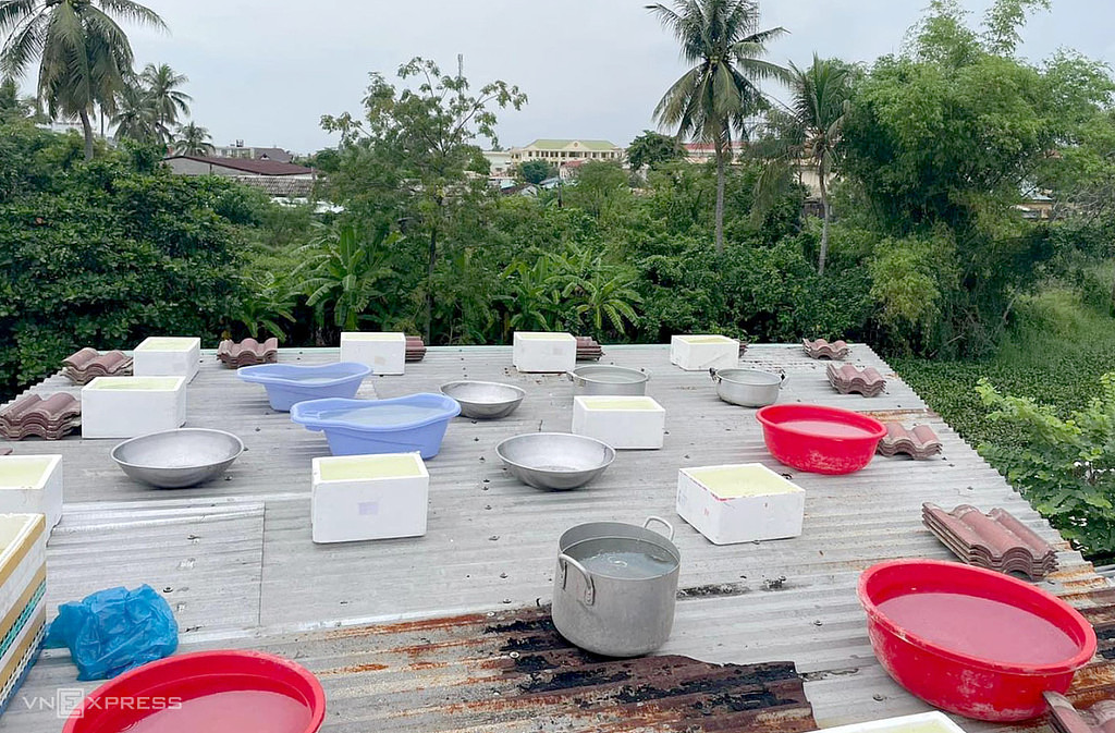 20220927(화) 베트남 읽어보기의 썸네일 이미지