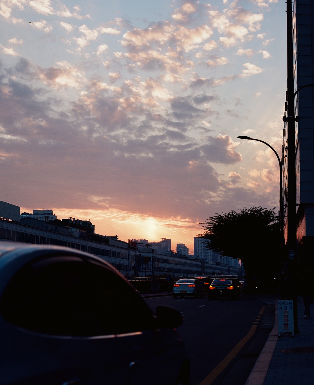 세점사이 여덟 번째의 썸네일 이미지