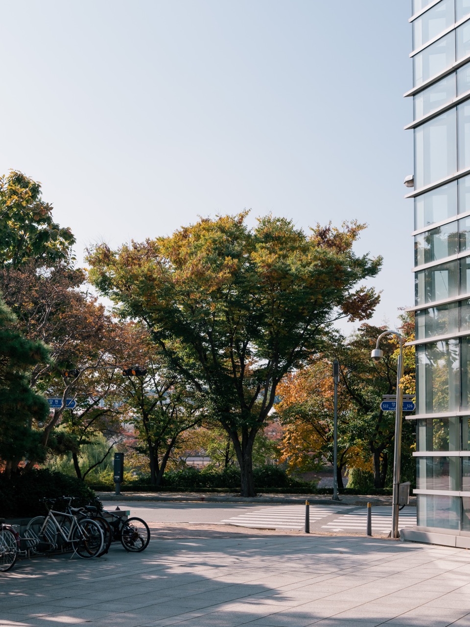 같은 날의 가을 색깔.