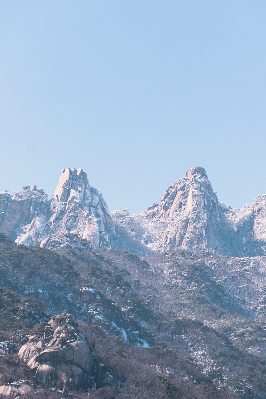 네...저희 집 앞은 대자연입니다...
