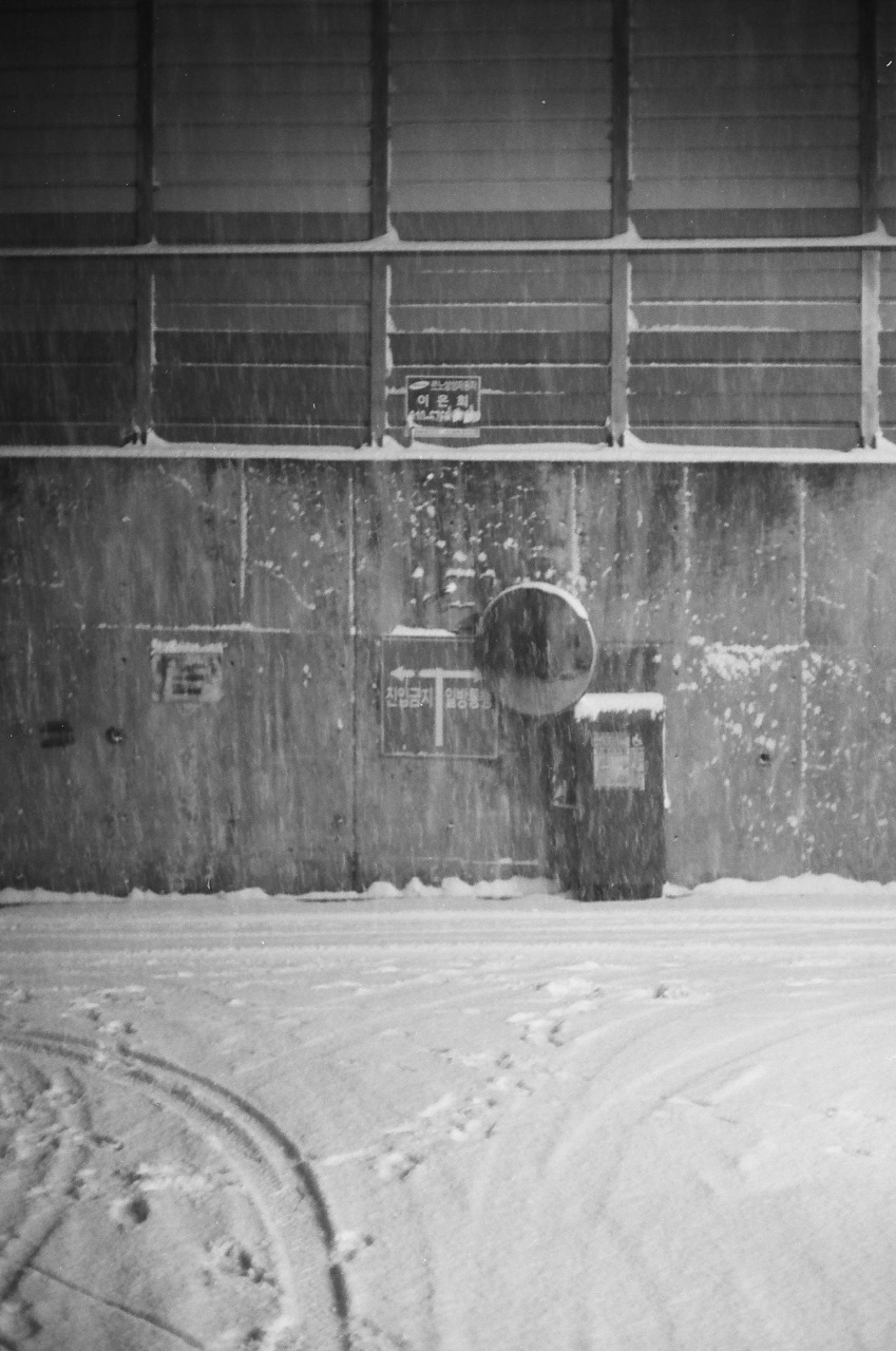 흑백으로 찍은 눈 사진도 너무 좋지 않나요?