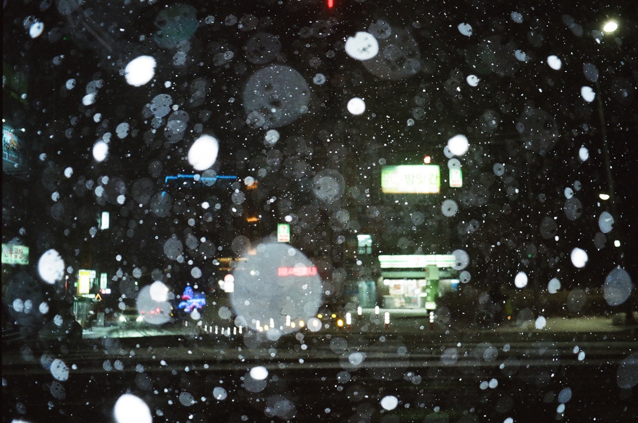 그렇게 나가서 이런 사진들을 잔뜩 들고 돌아왔습니다. 삼성의 똑딱이 필름카메라였어요.