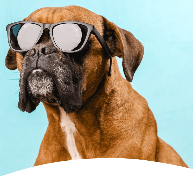 감사합니다! 다음에 또 뵈요!!<에디터 이국환 / 기획 이해구><소식거리 제보 : 글래드호텔 김현수 차장>제보 좀 많이 부탁드려요..