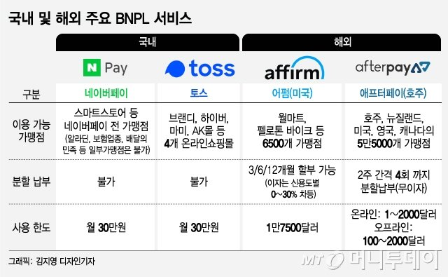 국내 및 해외 주요 BNPL 서비스 (출처: 머니투데이)