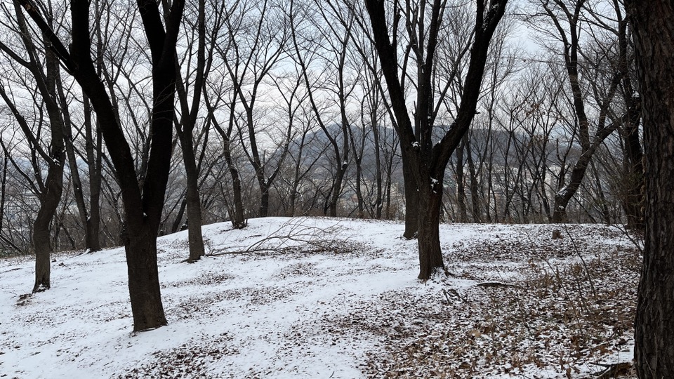 시와 [잠 못 이루는 당신에게] 9의 썸네일 이미지