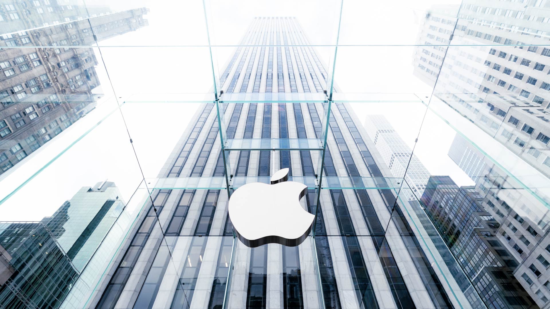 애플은 3일 3.7% 하락하면서 시총 2조 달러가 붕괴됐다. 사진 중앙포토