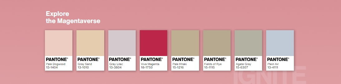 출처 : 팬톤(PANTONE) 웹사이트