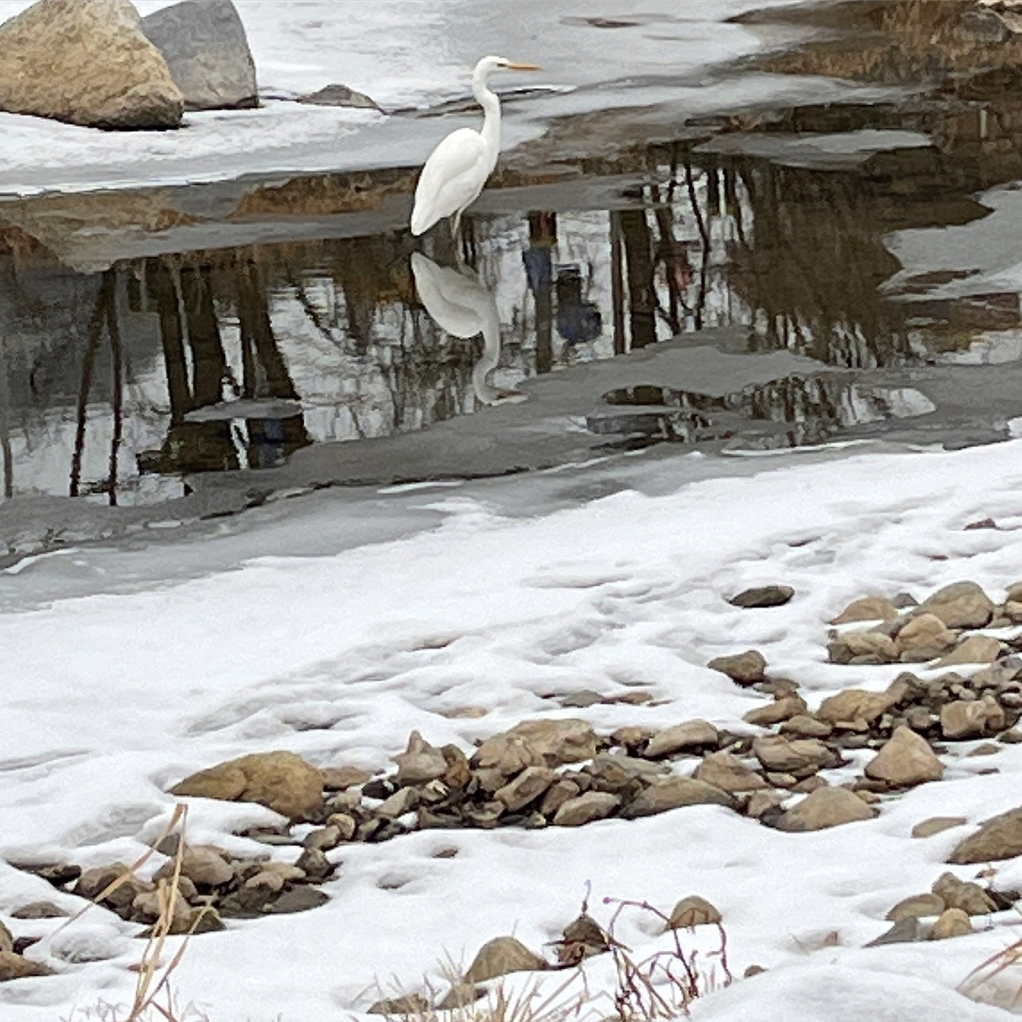 사노글, "얼었던 강도 봄이 오면 녹는다."의 썸네일 이미지