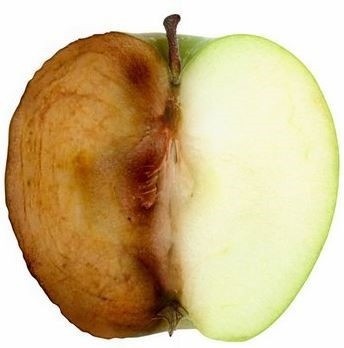 갈변(산화)된 사과