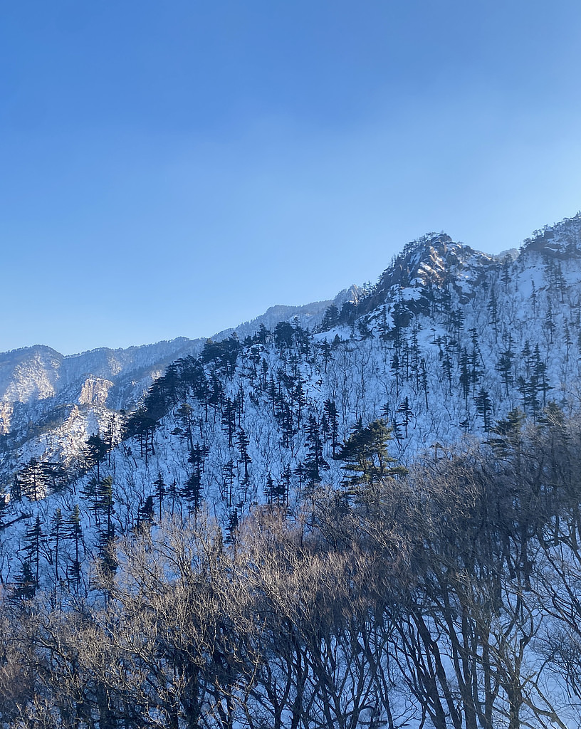 🇰🇷 한국 여행 사진을 보내요💚 Here I send my Korea trip pictures의 썸네일 이미지