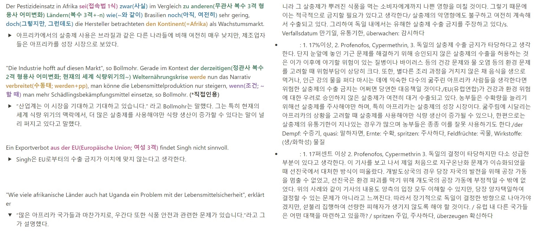 독일어 기사 분석과 내용 정리 및 표현 학습 과정 