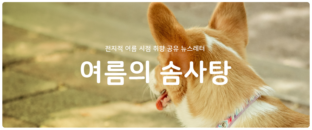 [여름의 솜사탕] #5 그건 댕댕이 입장도 들어봐야 해의 썸네일 이미지