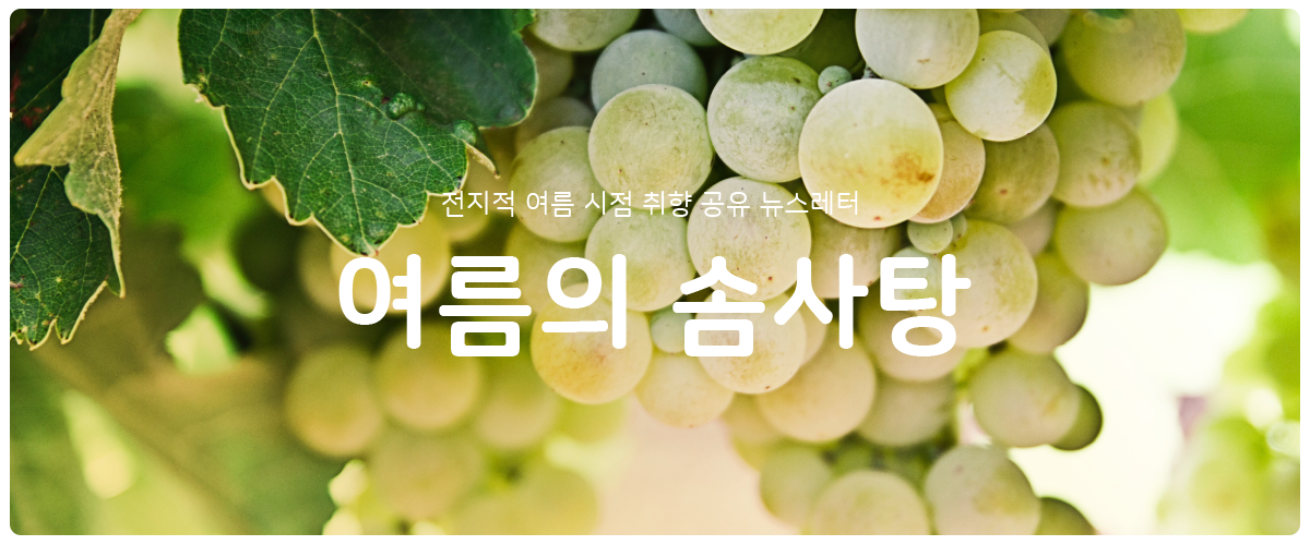 [여름의 솜사탕] #30 시든 달든 포도는 싫어요의 썸네일 이미지