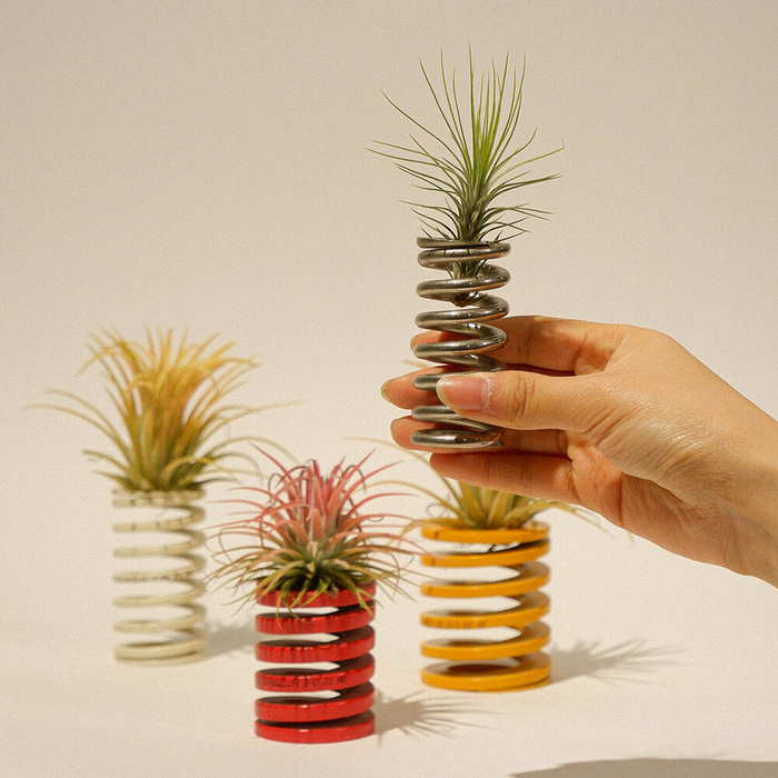 29cm(내추럴리내추럴)_35,000원